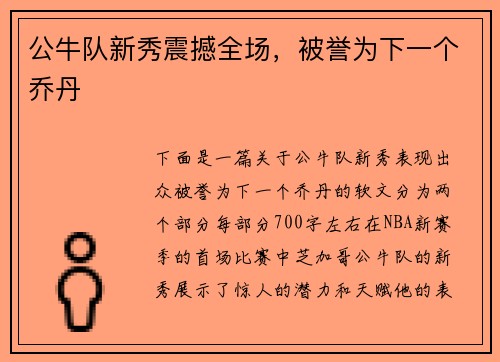 公牛队新秀震撼全场，被誉为下一个乔丹